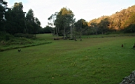 IMG_0612.JPG