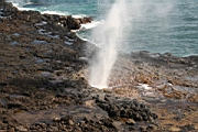IMG_0648.JPG