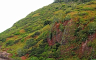 IMG_0688.JPG