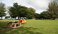 IMG_0700.JPG