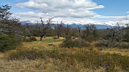 2019-02-24-0052.jpg