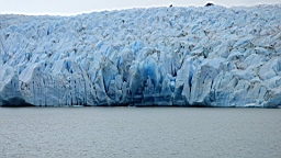 2019-02-27_059.JPG