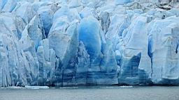 2019-02-27_069.JPG