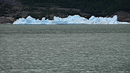 2019-02-27_092.JPG