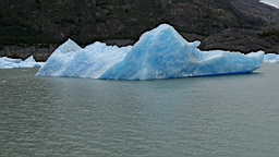 2019-02-27_098.JPG