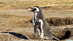2019-03-03-0019.JPG