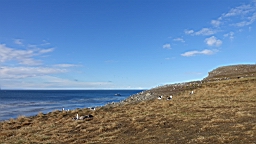2019-03-03-0027.JPG