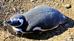 2019-03-03-0033.JPG