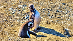 2019-03-03-0034.JPG