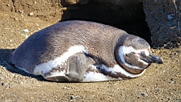2019-03-03-0037.JPG