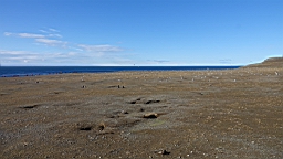 2019-03-03-0039.JPG
