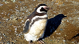 2019-03-03-0042.JPG