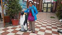 2019-03-05-0017.jpg