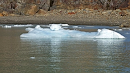 2019-03-10-0076.JPG