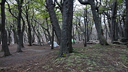 2019-03-13-0060.JPG