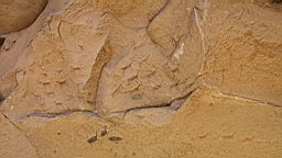 2019-03-15-0032.JPG