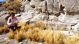 2019-03-15-0046.JPG