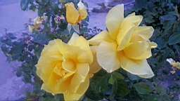 2019-03-15-0116.jpg